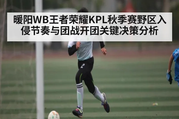 暖阳WB王者荣耀KPL秋季赛野区入侵节奏与团战开团关键决策分析